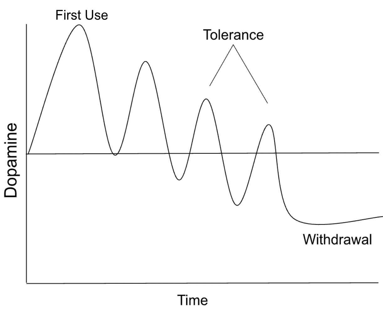 5 Facts to Better Understand the Neuroscience of Addiction | Equilibria PCS